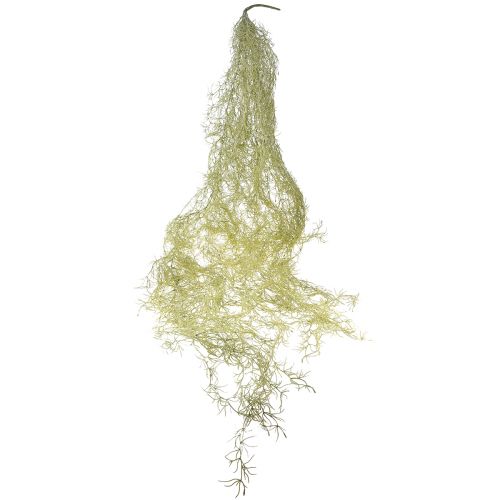 Artikel Tillandsia dekorativt hængende Tillandsia kunstgrøn hvid 180cm