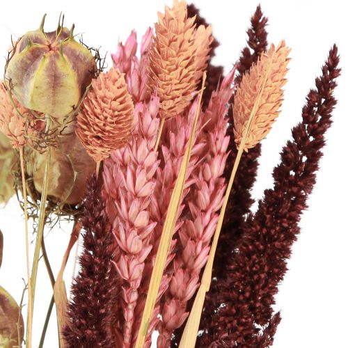 Floristik24 Tørret blomsterbuket korn Nigella pink orange 50cm