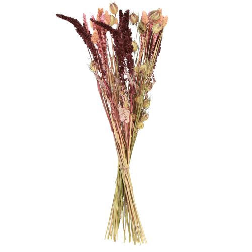 Floristik24 Tørret blomsterbuket korn Nigella pink orange 50cm