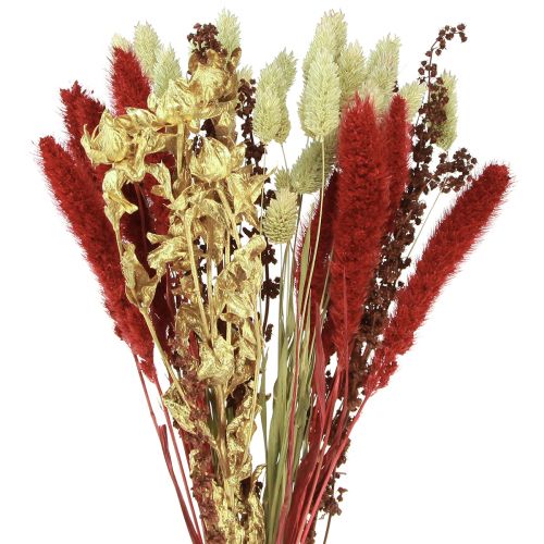 Floristik24 Tørret blomsterbuket korn tør buket rødguld 50cm