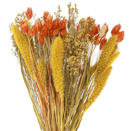 Floristik24 Tørret blomsterbuket med korn orange gul 50cm