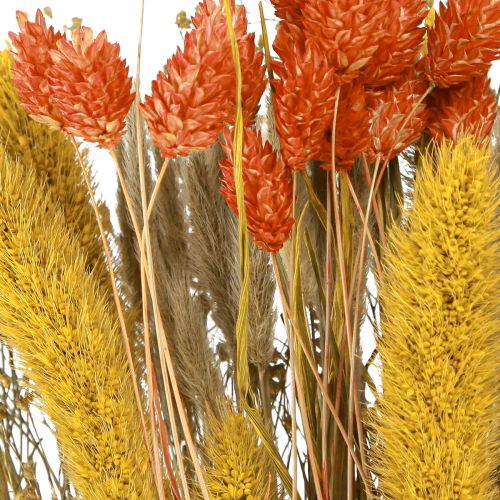 Floristik24 Tørret blomsterbuket med korn orange gul 50cm