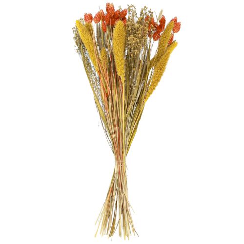 Floristik24 Tørret blomsterbuket med korn orange gul 50cm