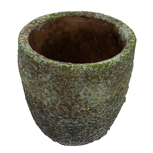 Floristik24 Planter med mos Ø16cm H16cm 1p