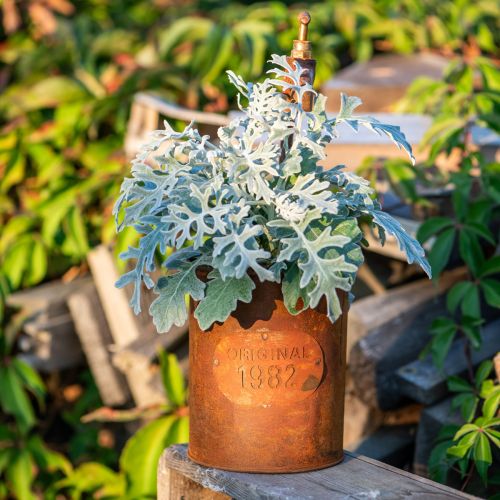Artikel Plantekasse patina dekorativt metal med hane H25/37/43cm sæt med 3 stk