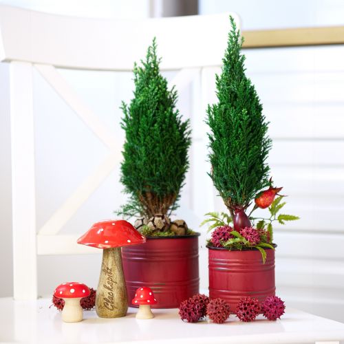 Artikel Plantekasse Metalblik Vintage Plantepotte Rød Brun Ø12/9,5 cm Sæt med 2