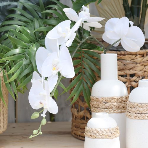 Artikel Hvid orkidé kunstig phalaenopsis Real Touch H83cm