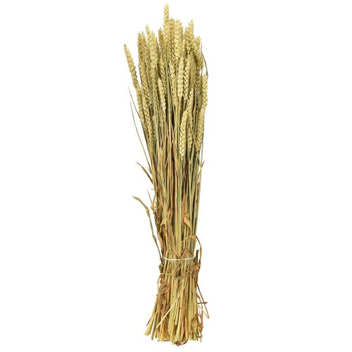 Artikel Hvedebundt naturlig dekorativ hvede 1 bundt 150g