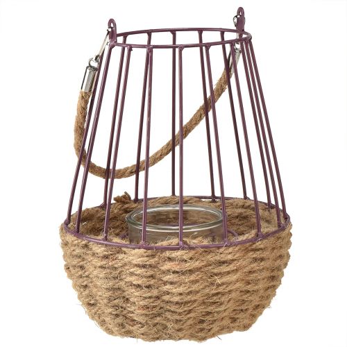 Artikel Lanterne med hank og glas lilla natur Ø18cm H22cm