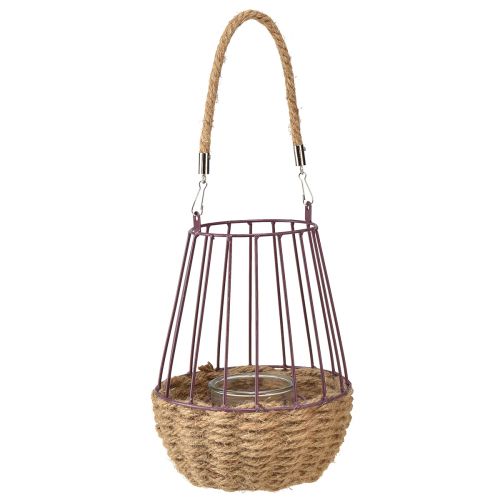 Artikel Lanterne med hank og glas lilla natur Ø18cm H22cm