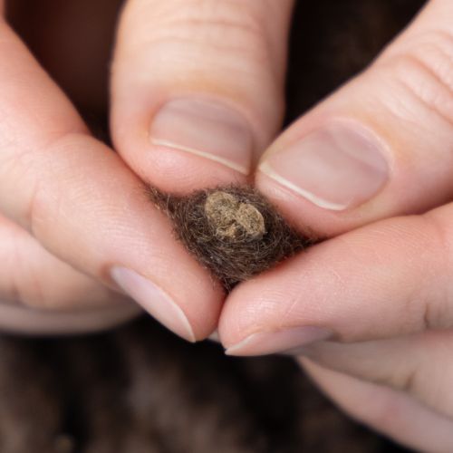 Artikel Blød Mirabell uldsnor, brun, 25m dekorativt bånd til blomster og hobbyartikler