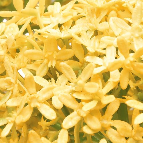 Artikel Prydløg Vild Allium kunstig Gul 70cm 3 stk