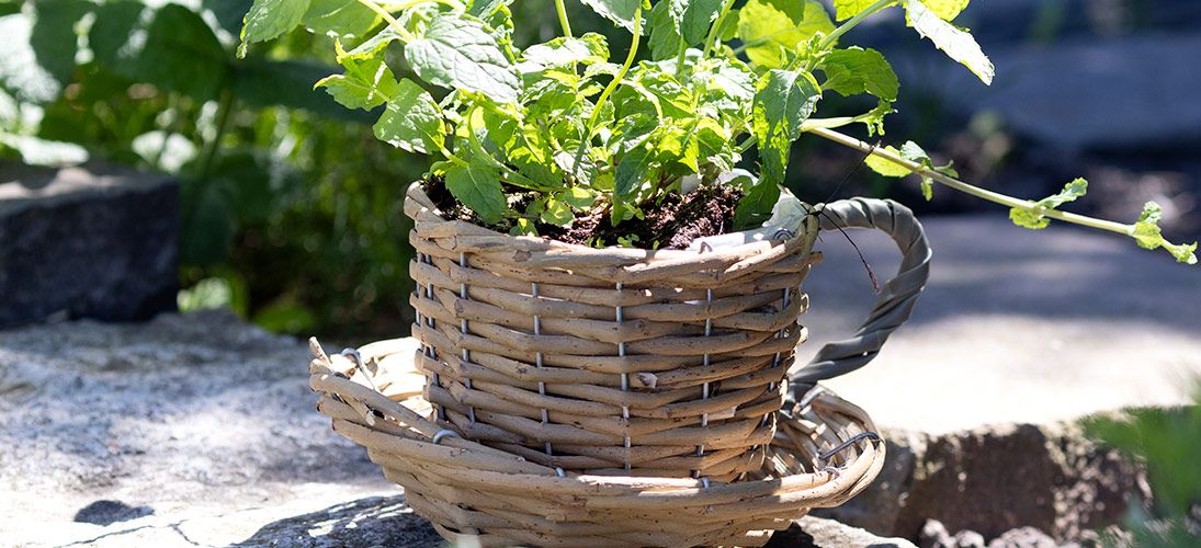 Flettede kurve til planter og blomster