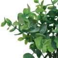 Floristik24 Kunstige eukalyptusgrene kunstige planter grønne 34cm 6stk