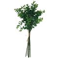 Floristik24 Kunstige eukalyptusgrene kunstige planter grønne 34cm 6stk