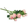Floristik24 Artificial Roses Pink Artificial Roses Dry Look 53cm 3stk