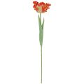 Floristik24 Kunstig blomster papegøje tulipan kunstig tulipan orange 69cm