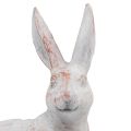Floristik24 Kanin siddende dekorativ kanin kunststen hvid brun 15,5x8,5x22cm