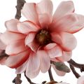 Floristik24 Magnolia gren magnolia kunstlaks 58cm