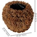 Dekorativ plantekasse med kogler, naturligt look, 27 cm. Rund koglepotte, naturbrun, lavet af kogler, 27 cm x 22 cm. | Floristik24.dk
