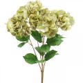 Floristik24 Hortensia buket kunstgrøn, brun 5 blomster 48cm