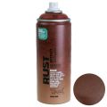 Floristik24 Rust Spray Effekt Spray Rust Spray Indvendig og udvendig Brun 400ml