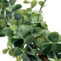 Floristik24 Kunstig eukalyptus guirlande dekorativ guirlande grøn 150cm