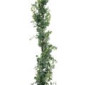 Floristik24 Kunstig eukalyptus guirlande dekorativ guirlande grøn 150cm