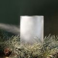 Isblomstspray Dekorationsspray til vinduer og vinterdekorationer på glas 150 ml | Floristik24.dk