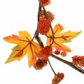 Floristik24 Efterårskrans med ahornblade og appelsinkegler 1,28m