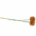 Floristik24 Prydløg Allium kunstig orange 70cm 3stk
