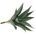 Floristik24 Aloe gren kunstgrøn 47cm