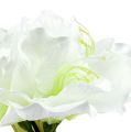 Floristik24 Amaryllis blomst hvid L 73cm 2stk