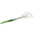 Floristik24 Amaryllis blomst hvid L 73cm 2stk