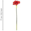 Kunstig amaryllisblomst, rød, lang stilk, til vase og arrangement, 77 cm | Floristik24.dk