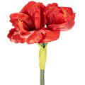 Kunstig amaryllisblomst, rød, lang stilk, til vase og arrangement, 77 cm | Floristik24.dk