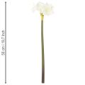 Kunstig amaryllisblomst, hvid, med stilk, advent og jul, 50 cm | Floristik24.dk