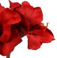Floristik24 Amaryllis kunstig stor rød 96,5 cm