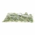 Floristik24 Sweetgum kegler grøn frostet 250g