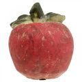Floristik24 Æble til dekoration, efterår, dekorativ frugt lavet af beton, borddekoration Ø13cm
