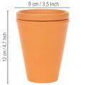 Aquasafe vandreservoir med insektdrikketrug til have, altan, terrasse, 12 cm, 3 stk. | Floristik24.dk