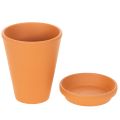 Aquasafe vandreservoir med insektdrikketrug til have, altan, terrasse, 12 cm, 3 stk. | Floristik24.dk