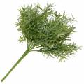 Floristik24 Aspargesbusk Ornamental aspargesplukker med 9 grene af kunstig plante
