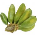 Floristik24 Baby banan flerårig kunstig grøn 13cm