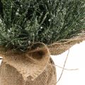 Floristik24 Mini juletræ kunstigt sneet i en sæk H41cm