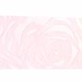 Floristik24 Deco bånd roser bred pink 63mm 20m
