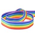 Floristik24 Dekorativt bånd gavebånd regnbue flerfarvet 25mm 20m