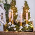 Floristik24 Træ lysestage, jul, stjerne til stikning, lys dekoration lavet af metal hvid shabby chic Ø5cm