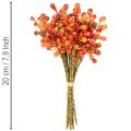 En buket orange bær, 20 cm lange | Floristik24.dk