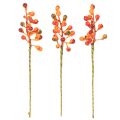 En buket orange bær, 20 cm lange | Floristik24.dk